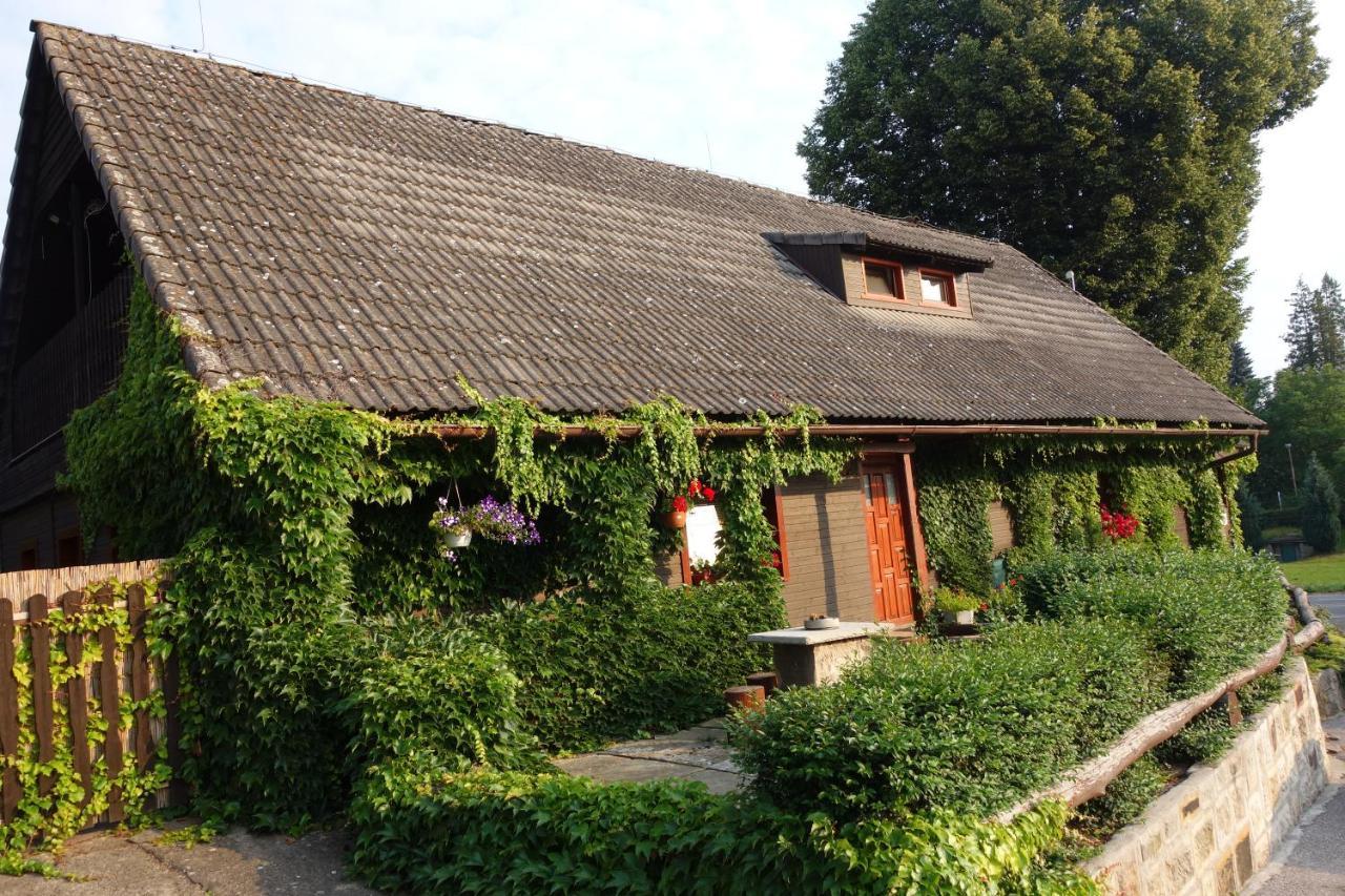 Pod Lipou Hotel Dolni Brusnice ภายนอก รูปภาพ